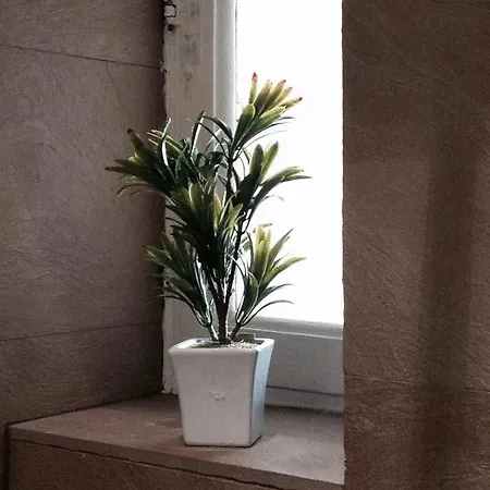 Сasa de vacaciones Lure *